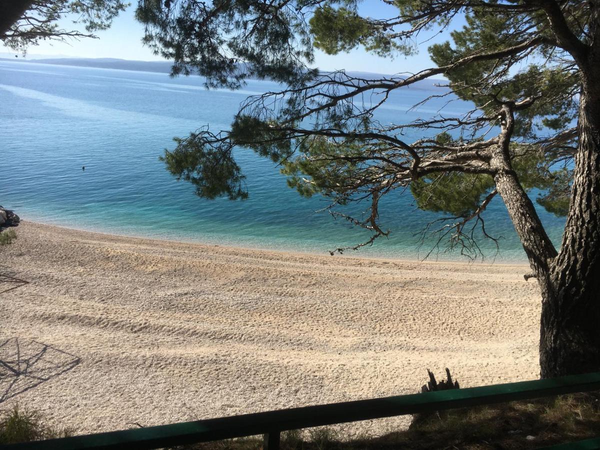 Apartament Sanda