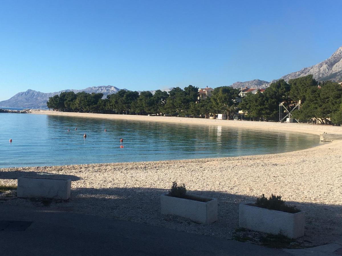 Apartament Sanda *